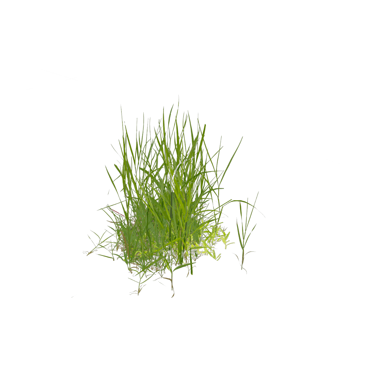 Information Greening